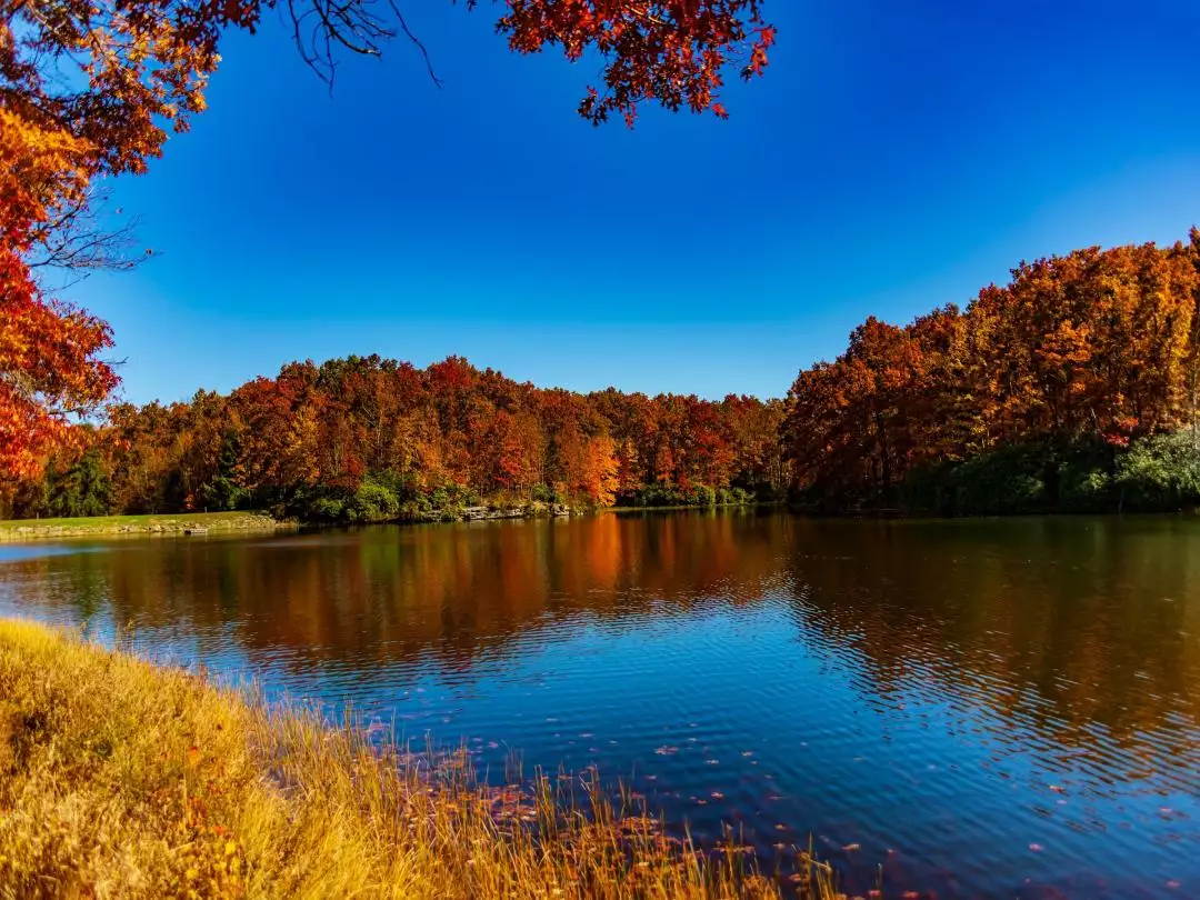Fall Colors in West Virginia image by David Frampton from Pixabay